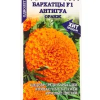 Семена Бархатцы Антигуа Оранж F1 /Сотка/ 5 шт/*1800 Семена Бархатцы Антигуа Оранж F1 /Сотка/ 5 шт/*1800