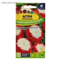 Семена цветов Астра "Превосходный Гасфорд" помпонная, О, ц/п, 0,2 г Семена цветов Астра "Превосходный Гасфорд" помпонная, О, ц/п, 0,2 г