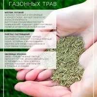 Газонная травосмесь &laquo;Спортивная&raquo;, 1 кг