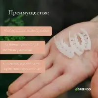 Кистедержатель «Улитка», 4 см, набор 50 шт., Greengo
