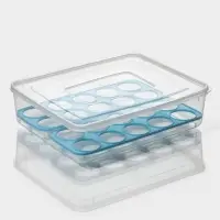 Контейнер для хранения яиц Доляна, 20 ячеек, 27.5&times;22&times;7 см, пластик, прозрачный, голубой