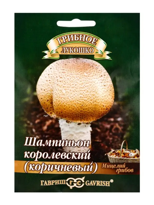 Мицелий грибов Шампиньон &laquo;Коричневый&raquo;, на зерновом субстрате, 15 мл, &laquo;Гавриш&raquo;