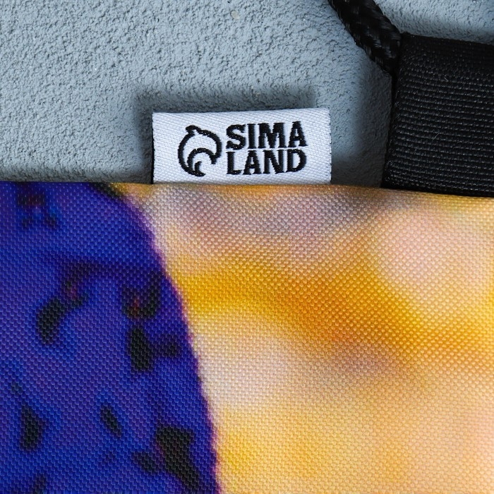 Мешок для обуви «Забавный корги» 2 секции, 30×40 см Мешок для обуви «Забавный корги» 2 секции, 30×40 см