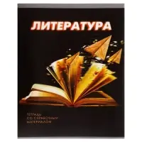 Тетрадь предметная 48 листов в линейку Calligrata «3D. Литература», серые листы