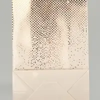 Пакет ламинированный &laquo;Подарок&raquo;, 14.6&times;8.4&times;23 см