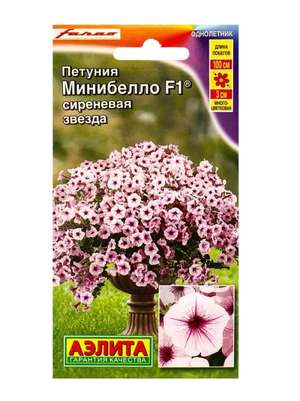 Семена цветов Петуния мини Минибелло F1 сиреневая звезда многоцветковая (драже) С. Farao, Ц/П,5 шт. Семена цветов Петуния мини Минибелло F1 сиреневая звезда многоцветковая (драже) С. Farao, Ц/П,5 шт.