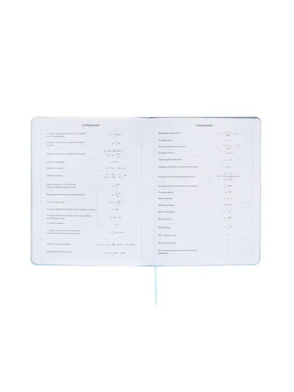 Дневник школьный 1-11 класс, deVENTE. deVENT.Flower, ляссе, голубой