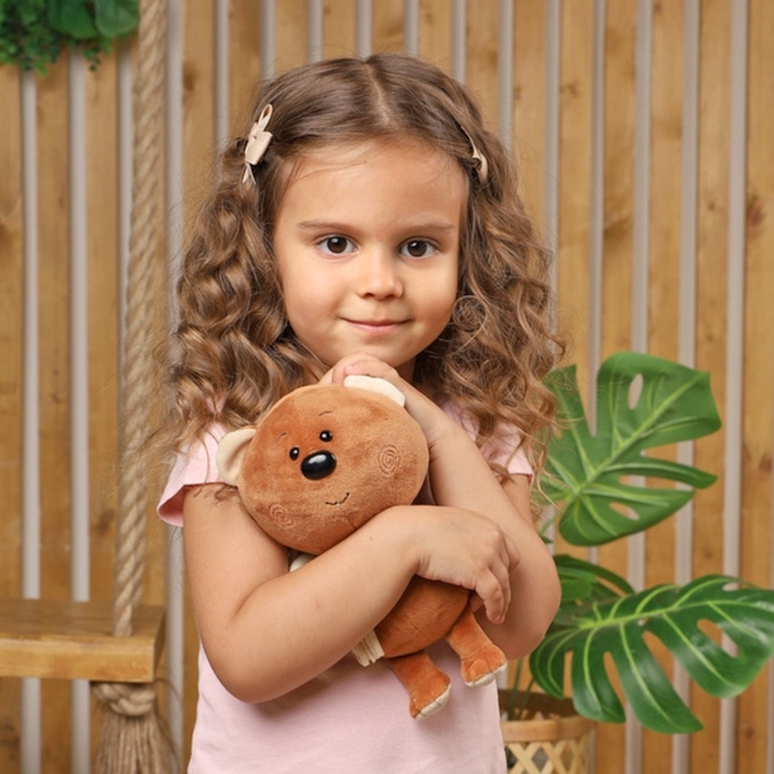 Мягкая игрушка  Мягкая игрушка "Мишка Брауни", 20 см MT-MRT-CH-0120246-20