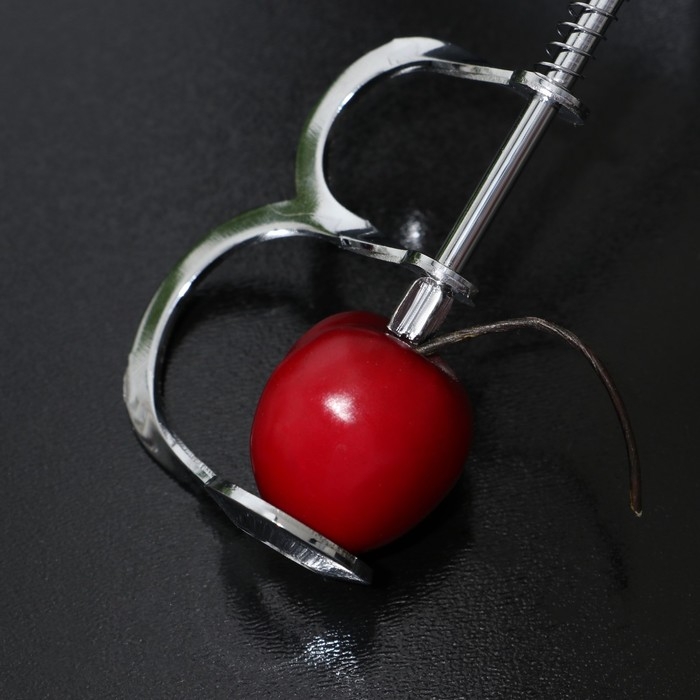 Удалитель косточек Доляна «Любитель», 12,5 см, цвет серебряный Удалитель косточек Доляна «Любитель», 12,5 см, цвет серебряный