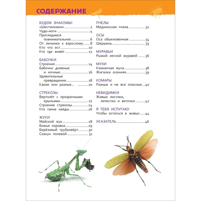 Энциклопедия для детского сада «Насекомые» Энциклопедия для детского сада «Насекомые»
