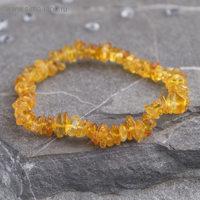 Браслет «Янтарь» крошка обработанная, цвет медовый, d= 6 см Браслет «Янтарь» крошка обработанная, цвет медовый, d= 6 см