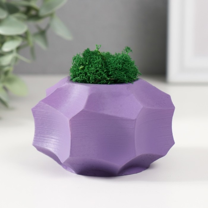 Кашпо бетонное Кашпо бетонное "Грани" со мхом фиолетовый 8х8х5см (мох зеленый стабилизированный)