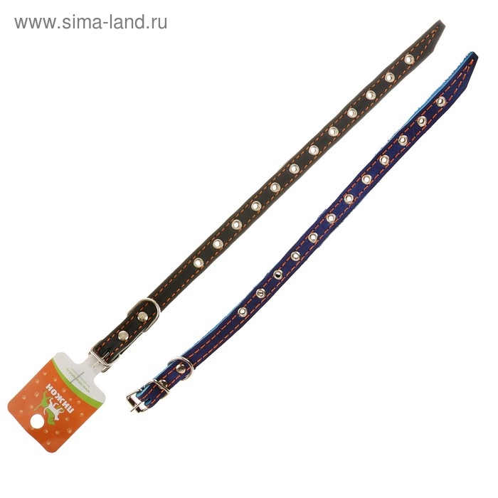Ошейник кожаный на синтепоне, безразмерный, 37 х 1,5 см, ОШ 21-31 см, синий Ошейник кожаный на синтепоне, безразмерный, 37 х 1,5 см, ОШ 21-31 см, синий
