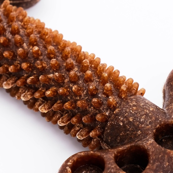 Игрушка для собак  Игрушка для собак "Ключ", TPR+Бамбук, массажная, 12 х 3,5 х 5 см