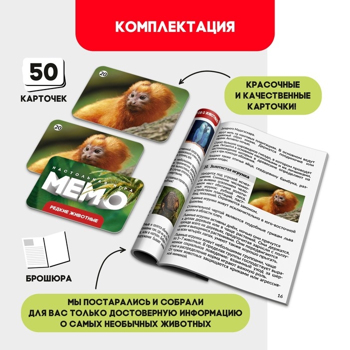 Мемо «Редкие животные» Мемо «Редкие животные»