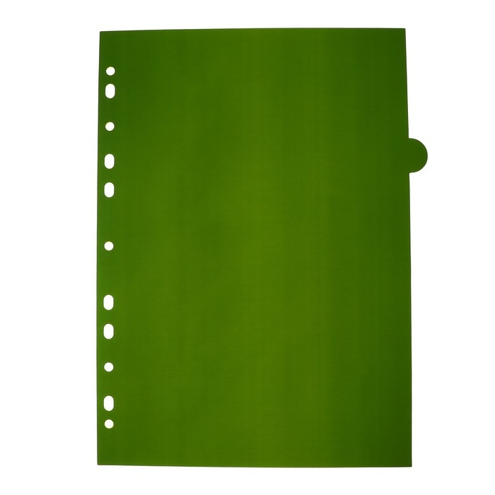 Разделитель листов A4 (245 x 305 мм), цветовой, 12 листов, Разделитель листов A4 (245 x 305 мм), цветовой, 12 листов, "deVENTE. Marandi" полипропилен 140 мкм, индивидуальная упаковка