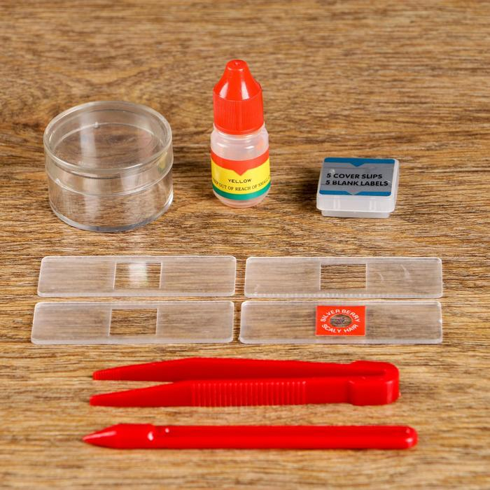 Микроскоп, кратность увеличения 600х, 300х, 100х, с подсветкой, 2АА, синий Микроскоп, кратность увеличения 600х, 300х, 100х, с подсветкой, 2АА, синий