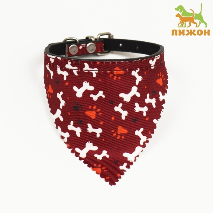 Ошейник с косынкой Ошейник с косынкой "Яркая жизнь", 32 х 1 см, бордовый