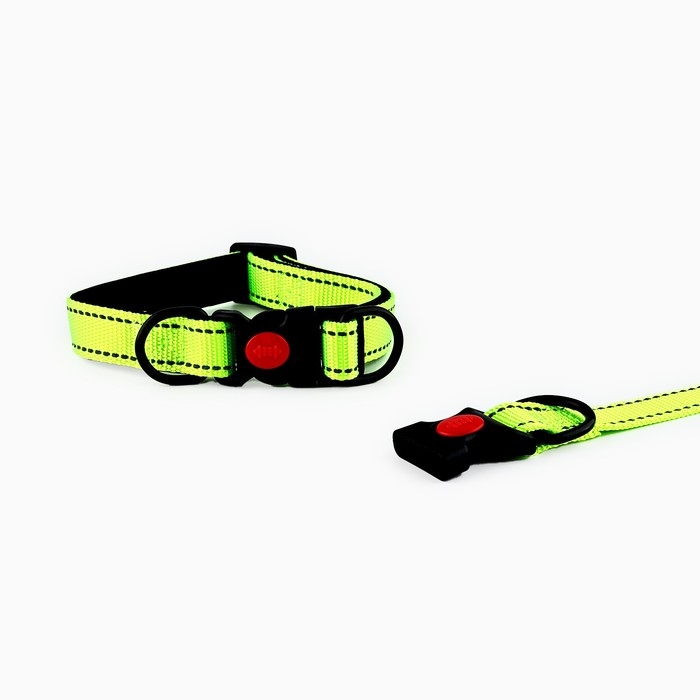 Ошейник с подкладом из нейлона с фастексом 2 см, ОШ 27-40 см, зелёный Ошейник с подкладом из нейлона с фастексом 2 см, ОШ 27-40 см, зелёный