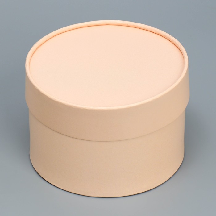 Коробка подарочная, упаковка, «Бежевый», 13 х 9 см Коробка подарочная, упаковка, «Бежевый», 13 х 9 см