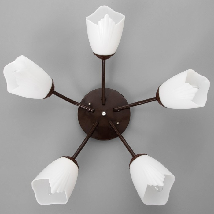 Люстра Оникс 5х15Вт E27 коричневый 52х52х15см BayerLux Люстра Оникс 5х15Вт E27 коричневый 52х52х15см BayerLux