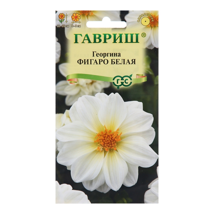 Семена Георгина Семена Георгина "Фигаро", белая 7 шт.