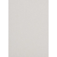 Картон цветной  10л.10цв.А4 мелован(золото+сереб) Отличник