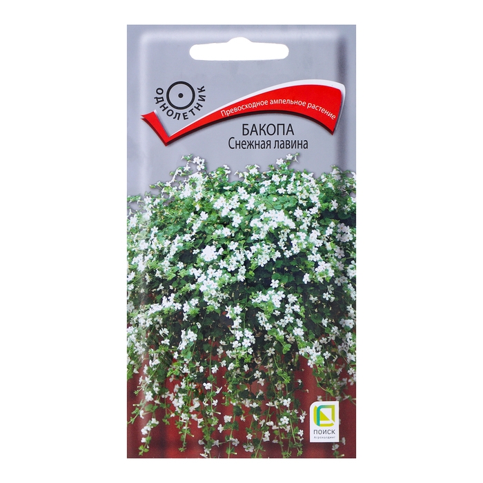Семена цветов Бакопа  Семена цветов Бакопа "Снежная лавина", 5шт