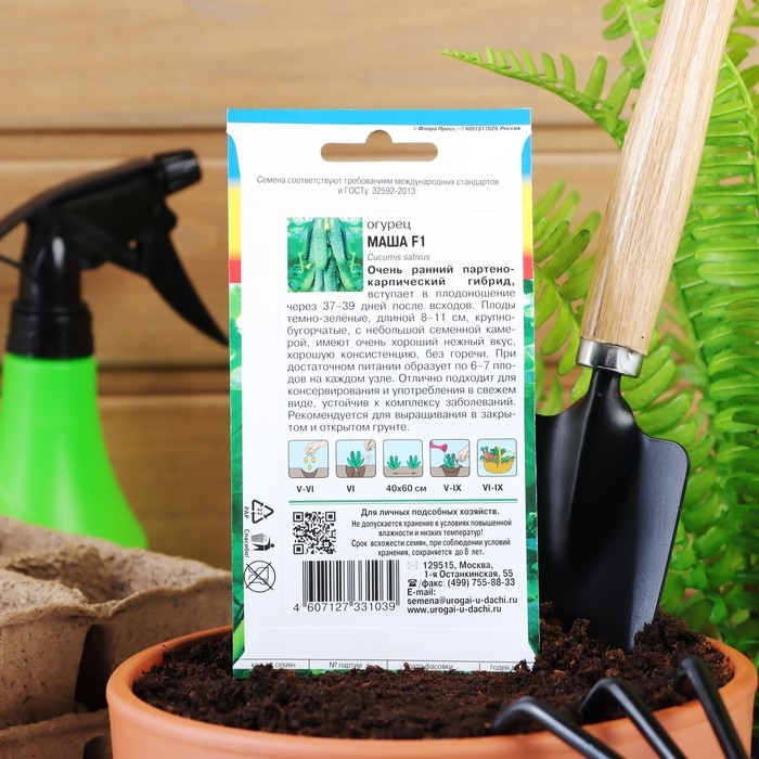Семена Огурец  Семена Огурец "Маша" F1, 0,2  г