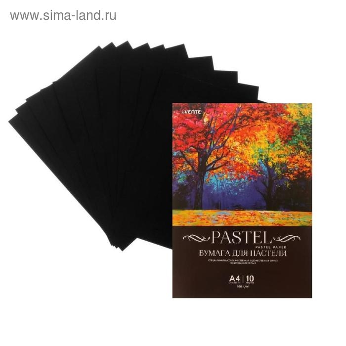 Бумага для пастели А4, deVENTE, набор 10 листов, 160 г/м2, чёрная, в пакете Бумага для пастели А4, deVENTE, набор 10 листов, 160 г/м2, чёрная, в пакете