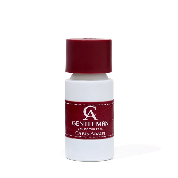 Туалетная вода мужская Chris Adams Ca Gentleman, 100 мл Туалетная вода мужская Chris Adams Ca Gentleman, 100 мл