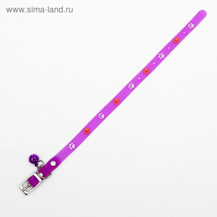 Ошейник из морозостойкого мягкого пластика Ошейник из морозостойкого мягкого пластика "Лапки", 28, 5 х 1 см, микс цветов