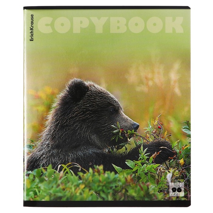 Тетрадь 96 листов в клетку, ErichKrause Тетрадь 96 листов в клетку, ErichKrause "Медведи", обложка мелованный картон, глянцевая ламинация, блок офсет 100% белизна, МИКС