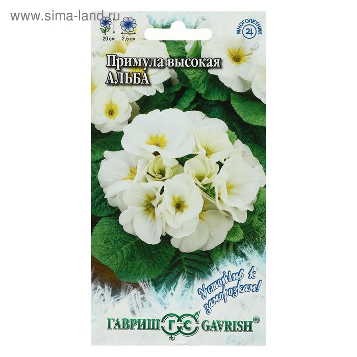 Семена цветов Примула  Семена цветов Примула "Альба высокая", серия Устойчив к заморозкам, 4 шт