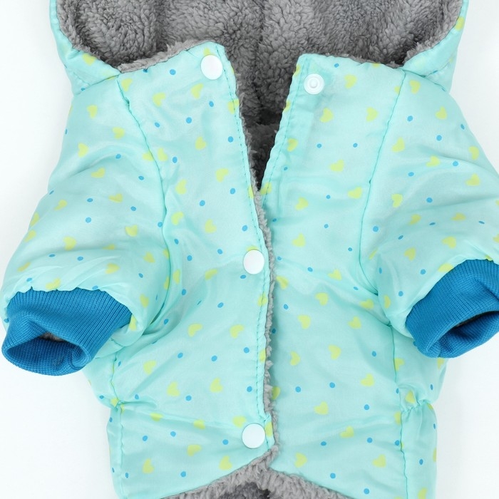 Комбинезон  Комбинезон "нежный путь" на меховом подкладе, размер S  (ДС 25, ОШ 25, ОГ 35 см), голубой