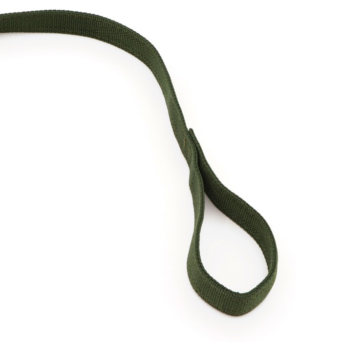 Поводок двухслойный с усиленным карабином, 1,2 м х 2,5 см, зелёный Поводок двухслойный с усиленным карабином, 1,2 м х 2,5 см, зелёный