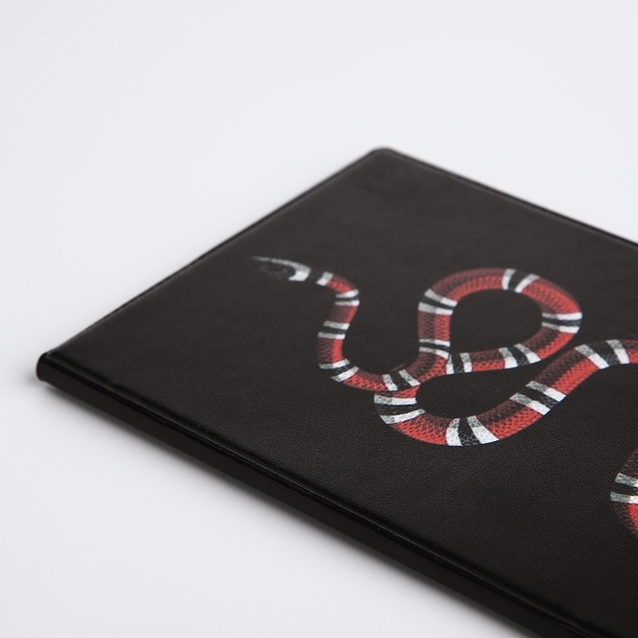 Обложка для паспорта, цвет чёрный Обложка для паспорта, цвет чёрный