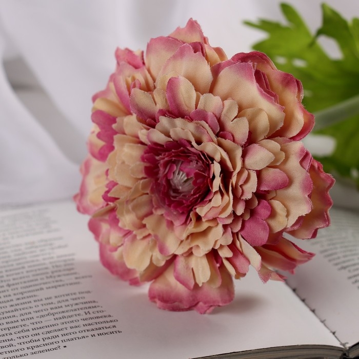 Цветы искусственные  Цветы искусственные "Хризантема люкс" d-9 см, 50 см, сиреневый