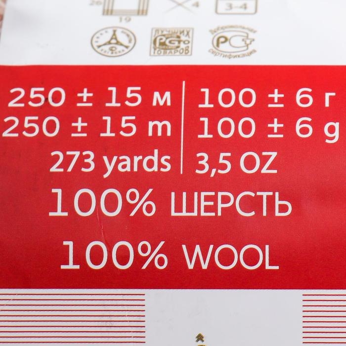 Пряжа Пряжа "Секрет успеха" 100% шерсть 250м/100гр (89-Фрез)