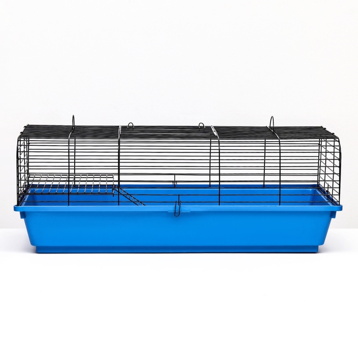 Клетка для грызунов Роджер 1, 79 х 44 х 28 см, микс Клетка для грызунов Роджер 1, 79 х 44 х 28 см, микс