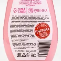 Подарочный набор «Чудес в Новом году»: гель для душа 200 мл и бомбочки для ванны 4 шт х 40 г, URAL LAB