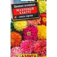 Семена цветов Цинния Махровый кактус, смесь сортов , Ц/П,0,3 г Семена цветов Цинния Махровый кактус, смесь сортов , Ц/П,0,3 г
