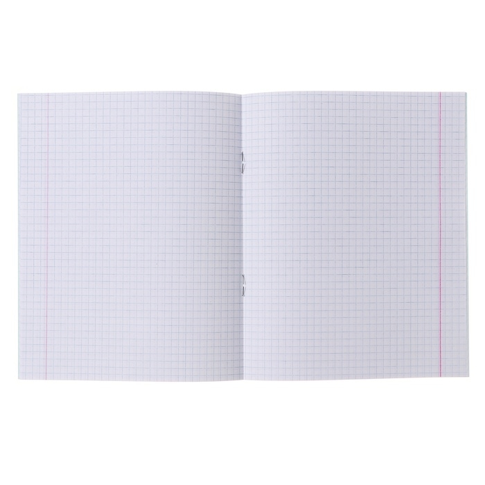 Комплект тетрадей из 20 штук, 24 листа в клетку КПК Комплект тетрадей из 20 штук, 24 листа в клетку КПК "Зелёная обложка", 58-63 г/м2, блок офсет, белизна 90%