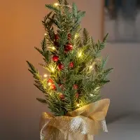 Фигура светодиодная "Сказочное сияние" 40 см, 20 LED, AG13х3 (в компл.), Т/БЕЛЫЙ