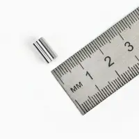 Замок-концевик магнитный, 5 шт. L=20 мм, внутренний d=6 мм, цвет серебро