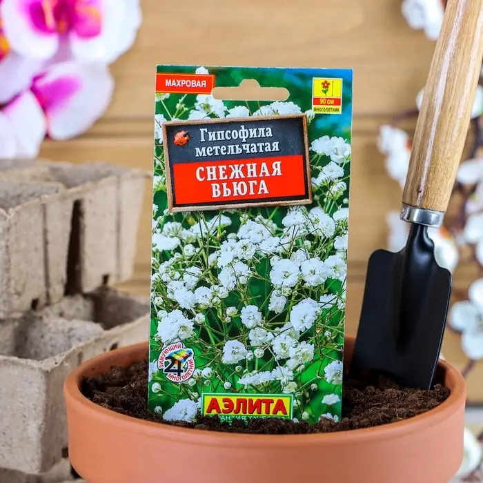 Семена цветов Гипсофила  Семена цветов Гипсофила "Снежная вьюга", 0,05 г