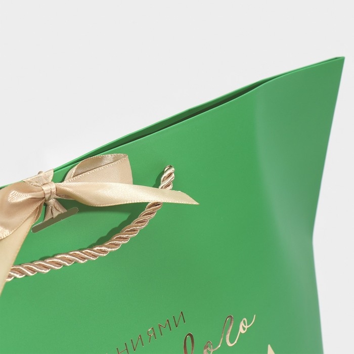 Пакет подарочный новогодний «Happines», 30 х 27.5 х 12 см, Новый год Пакет подарочный новогодний «Happines», 30 х 27.5 х 12 см, Новый год