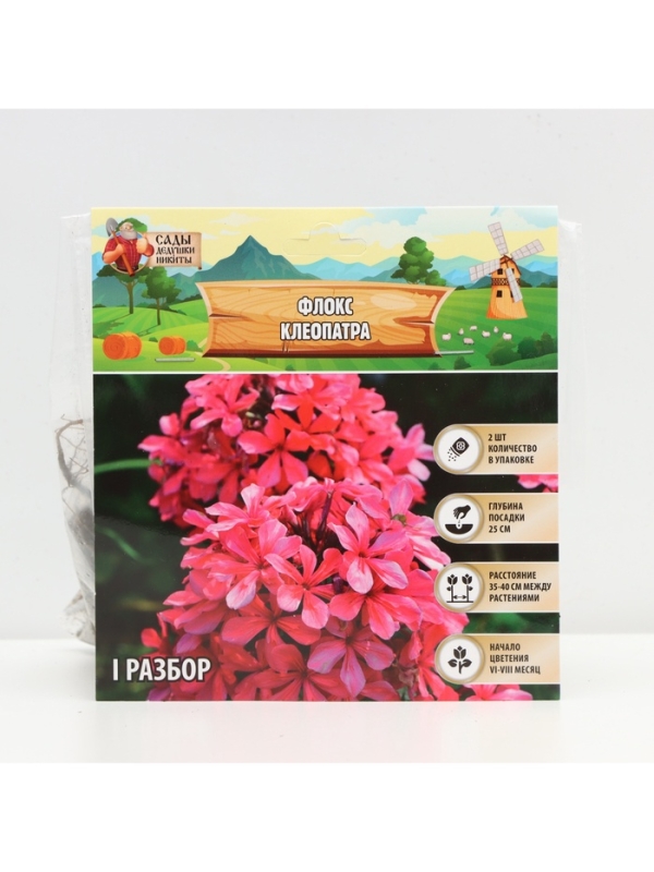 Флокс «Клеопатра» корневище в пакете с торфогрунтом, р-р I, 2 шт.