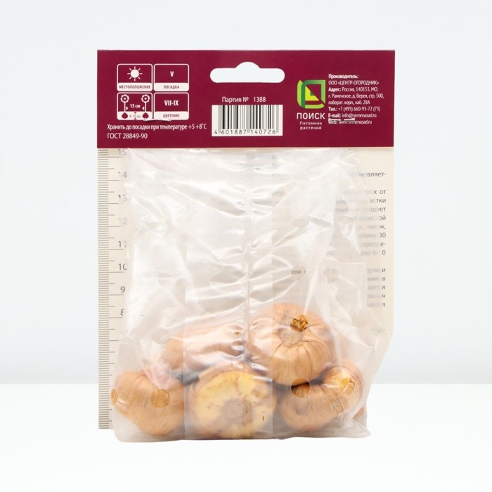 Гладиолус крупноцветковый «Крим Перфекшн»,луковица цветов в пакете с перфорацией, р-р 10/12, 10 шт.