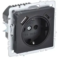 BRITE Розетка с заземлением с защитными шторками 16А с USB A+C 18Вт РЮш11-1-БрЧ черный